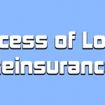 Excess of Loss Reinsurance image is made by Finsurlog
