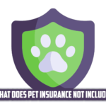 What Does Pet Insurance Not Include Cover is made by Finsurlog and using image by Freepik