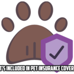 What’s Included in Pet Insurance Coverage Cover is made by Finsurlog and using image by Smashicons freepik