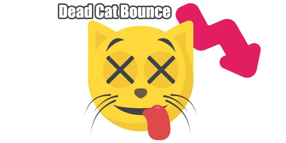Dead Cat Bounce cover is made by Finsurlog and using image from Vectors Market Flowicon Freepik