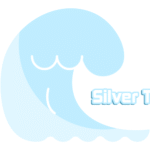 Silver Tsunami cover is made by Finsurlog and using image from roomanakhlaq12 Freepik